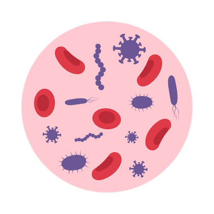 Staphylococcus aureus (hemolytic)